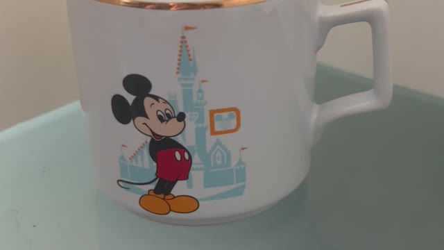 Walt Disney World Mickey Mouse and Castle Ceramic Mug #shorts