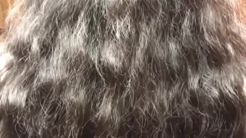 No smoothing no keratin only hair spa #hairspa #hair #shorts #viral