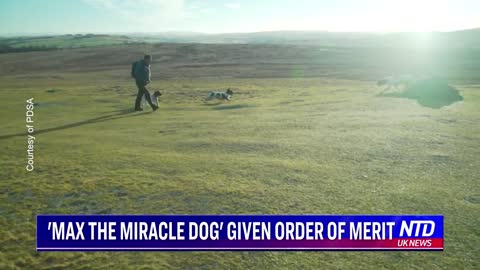 ‘Max the Miracle Dog’ Given Order Of Merit NTD UK News