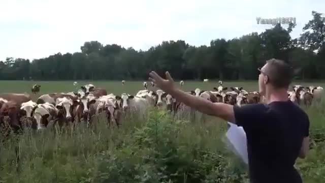 mini concert for a large audience