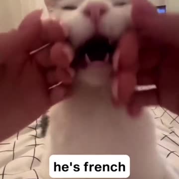 Bonjor monseur Francois 🤣😂