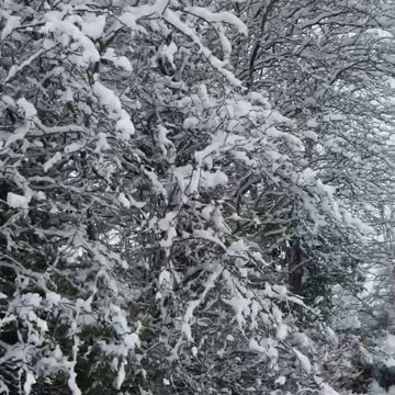 lots of snow in Wales 09/03/2023 snowed from the day before