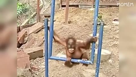 You Laugh You Lose Part 2