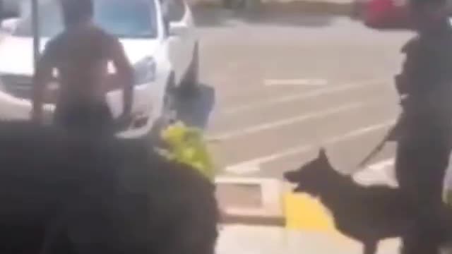 Fur Missile Actived