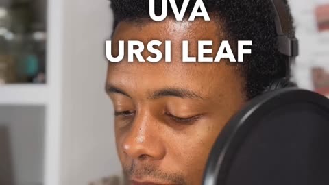 Herb - Uva Ursi Leaf