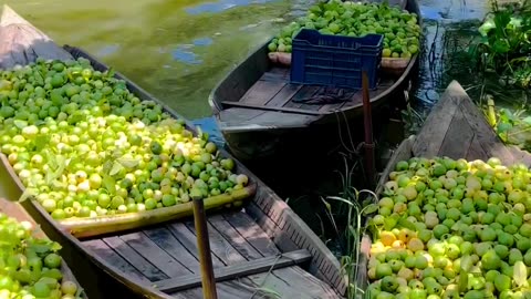 Floating Fruit Market