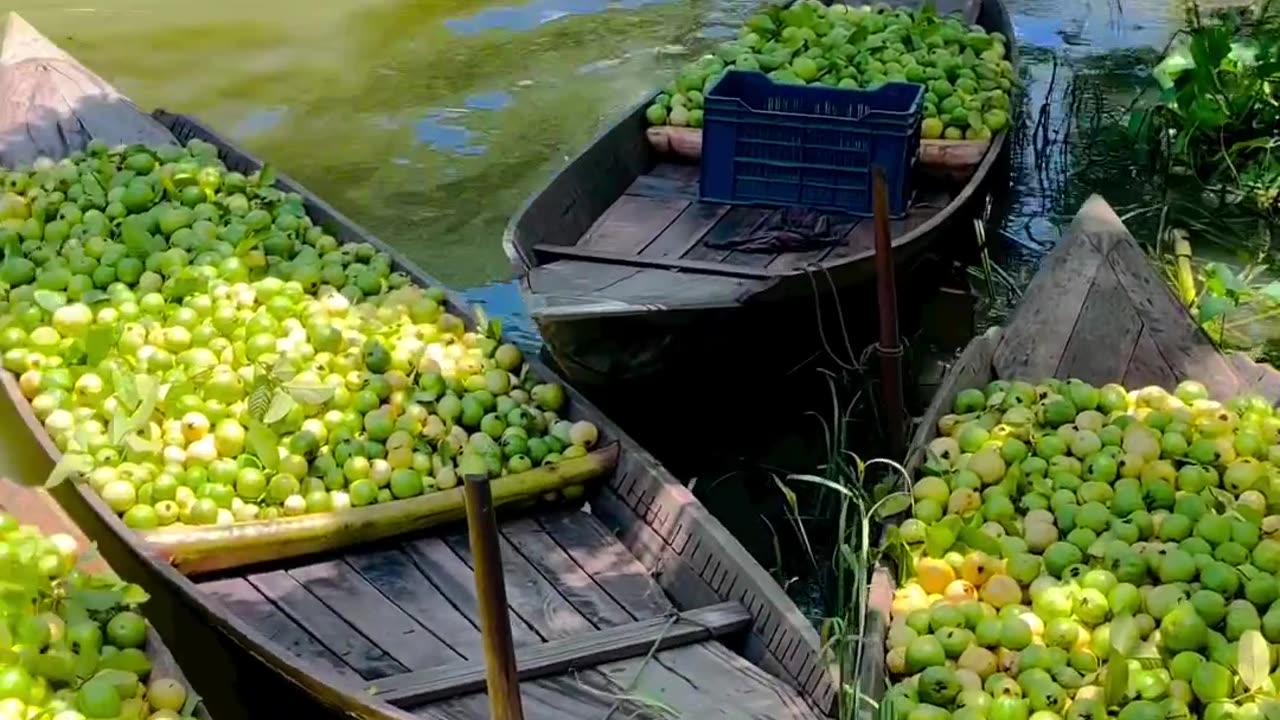 Floating Fruit Market