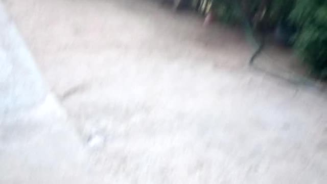 Funny cat 🐈 2