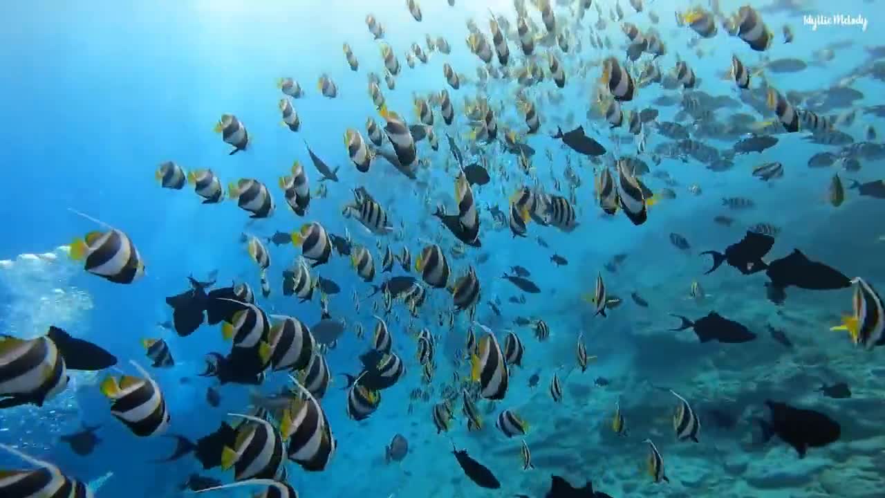 Dormirse en menos de 3 MINUTOS