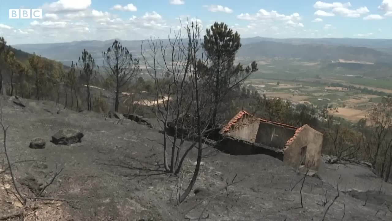 Spain wildfires force thousands out of their homes – BBC News