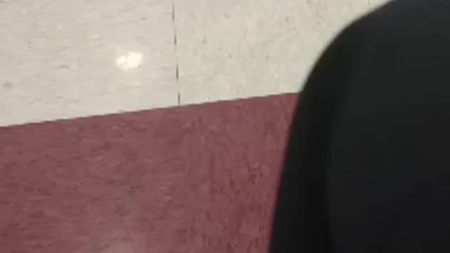 Private conversation turns into this we have a constitutional right of freedom of speech