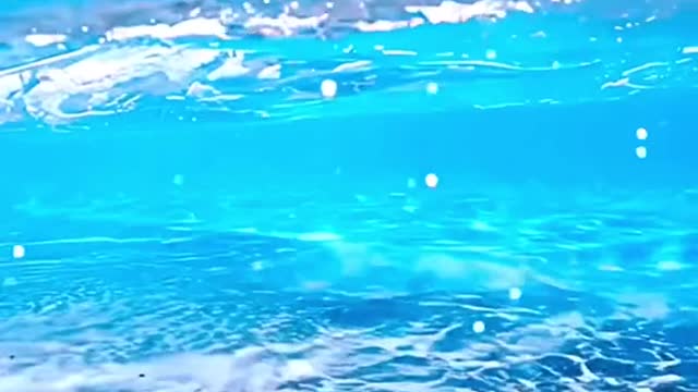 #under #underwater #sky #water #beautiful #nice #transparent #foryou #tiktok