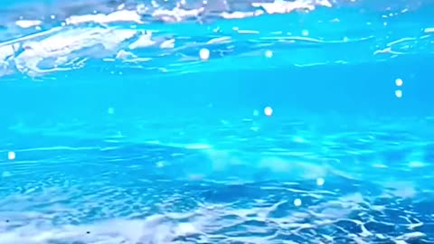 #under #underwater #sky #water #beautiful #nice #transparent #foryou #tiktok