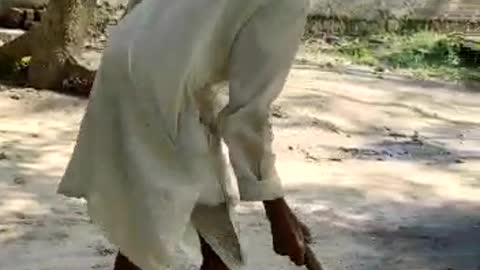 Old man cricket