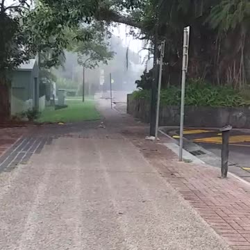 16.12.2024 Early Morning Kuranda