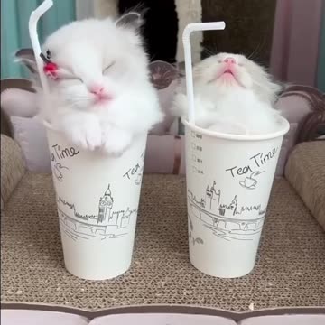 That’s way too cute 😍😍😍