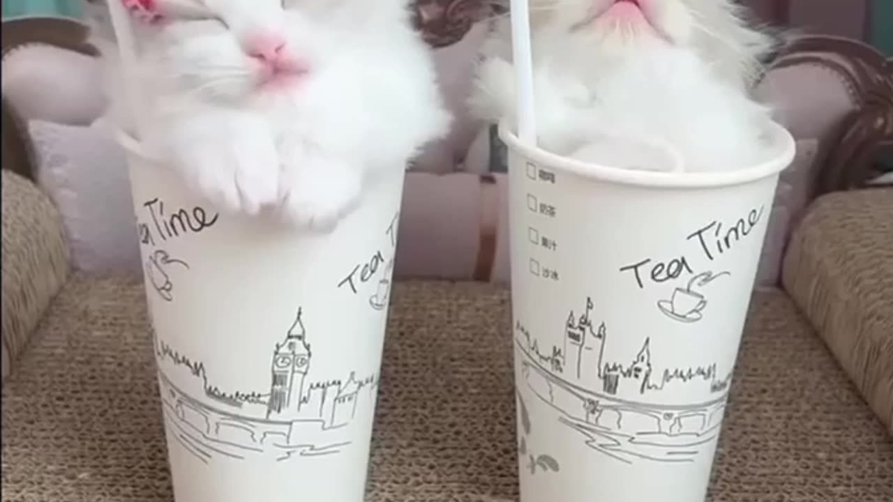 That’s way too cute 😍😍😍