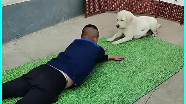 my lovely dog havey training, full videoyou will have a lot of fun