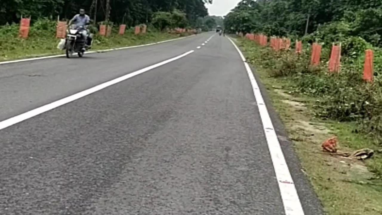 Viral new video