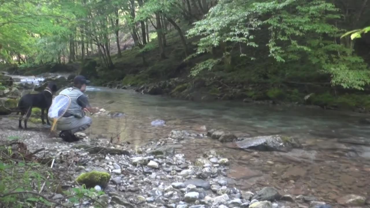 SLO-FLY.COM Fly fishing Slovenia. Dry fly, small streams, wild fish