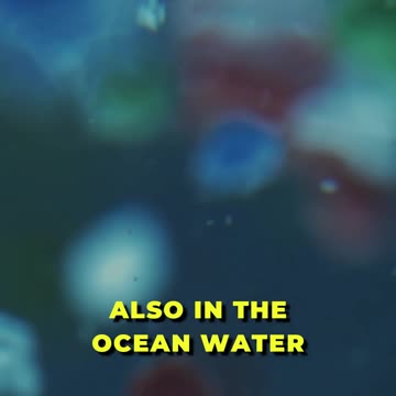 🌊 Diving into the World of Microplastics! 🌊