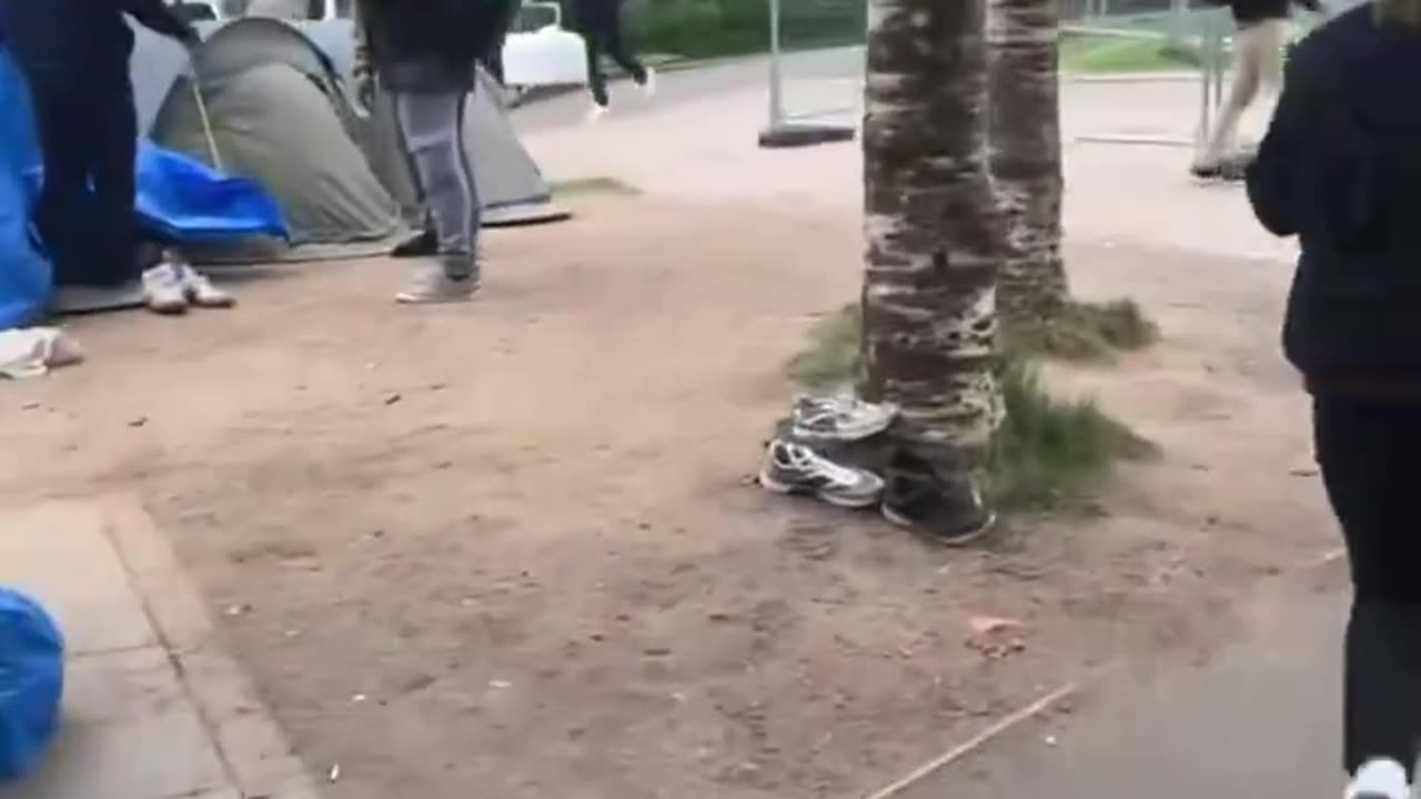 Tent city slums at the grand canal is back and the numbers are already massive.