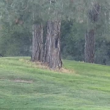 The persecution began.