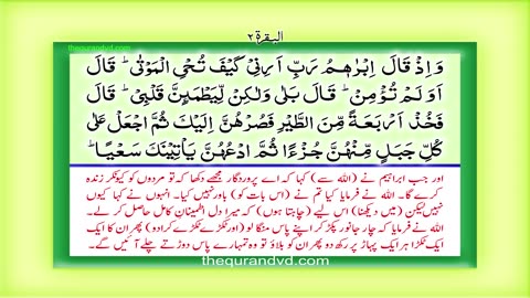 Para 3 - Juz 3 Tilka -r-rusul HD Quran Urdu Hindi Translation