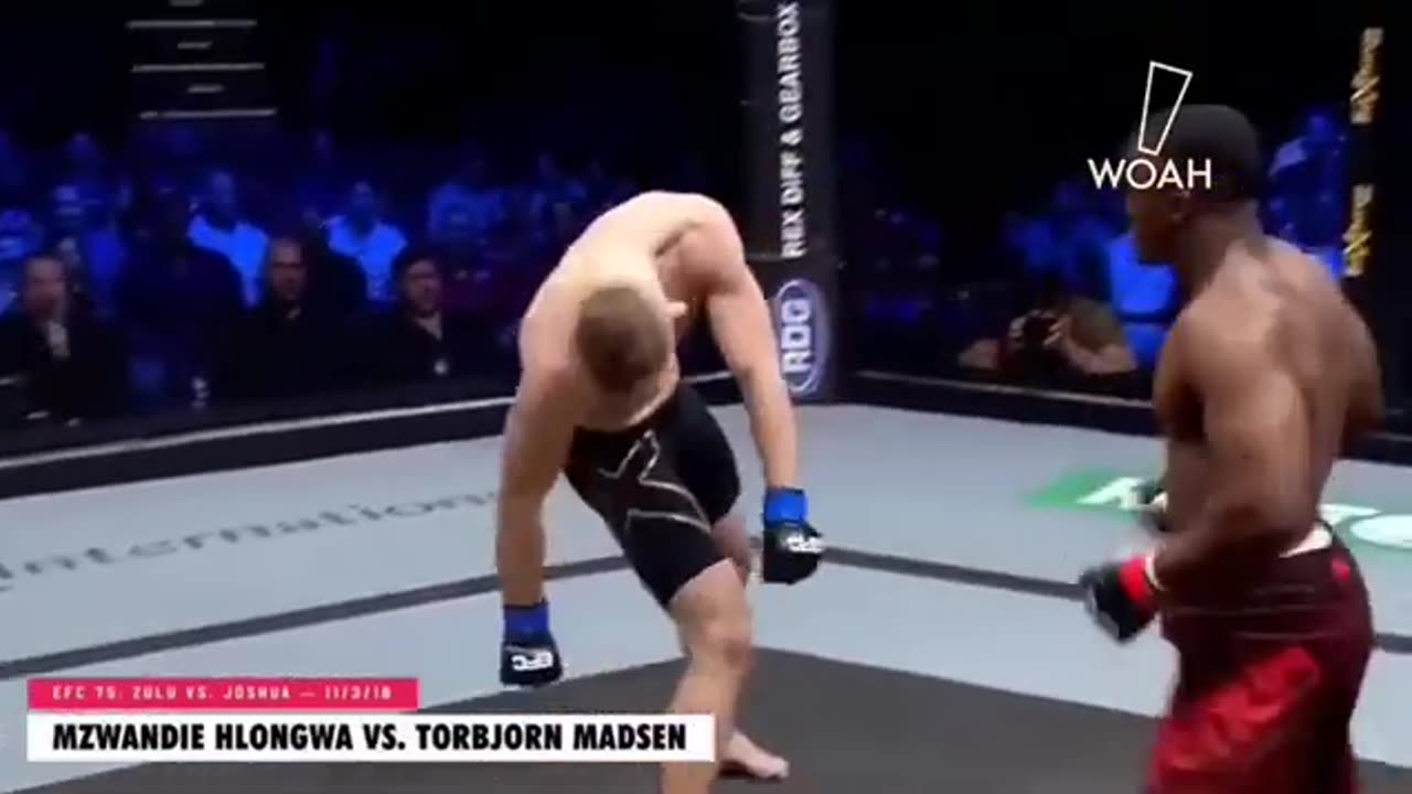 Best Knockouts in UFC History