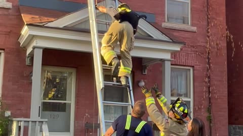 Cat Jumps Out of Firefighter's Arms While Being Rescued