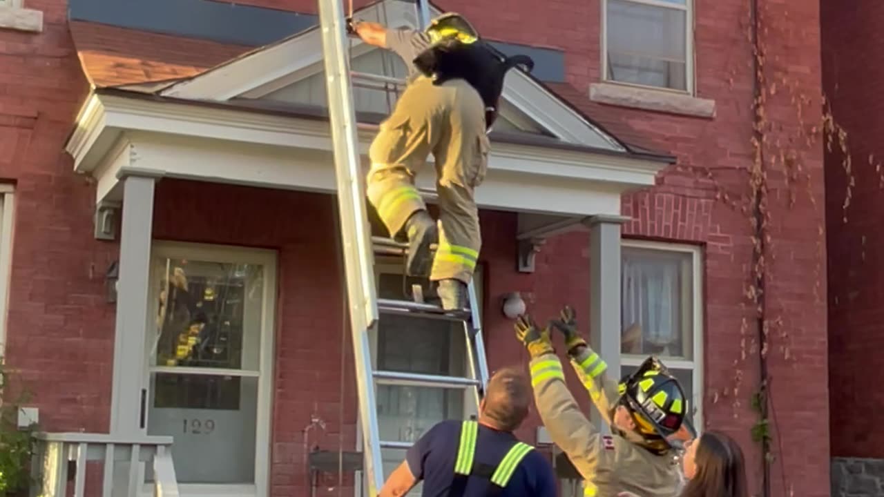 Cat Jumps Out of Firefighter's Arms While Being Rescued