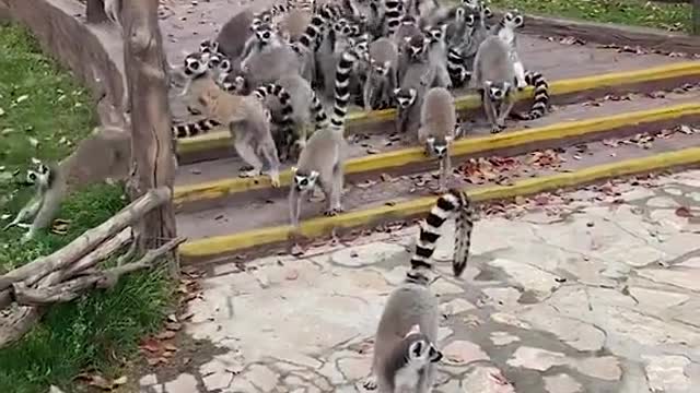 amazing#cute#delicious