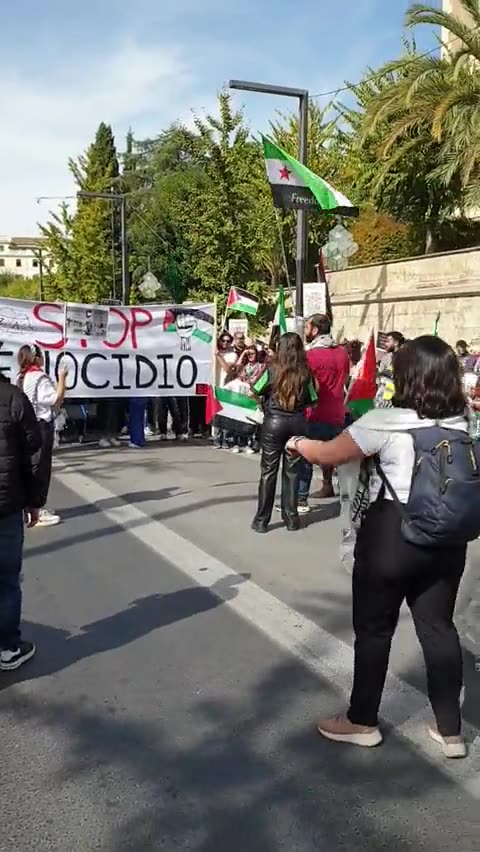 Pro Palestine rally in Spain
