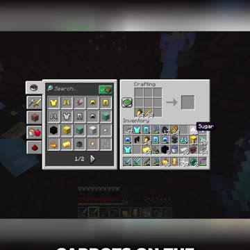 Epic Minecraft Adventure: Racing for the Anubis Staff