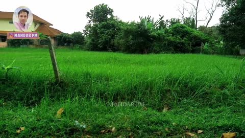 Suasana di kampung Malaysia bandar baru Bangi