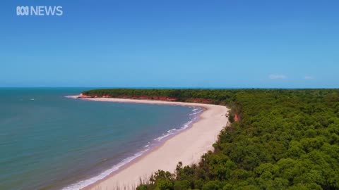 Santos loses appeal over Barossa gas project after challenge by traditional owners | ABC News