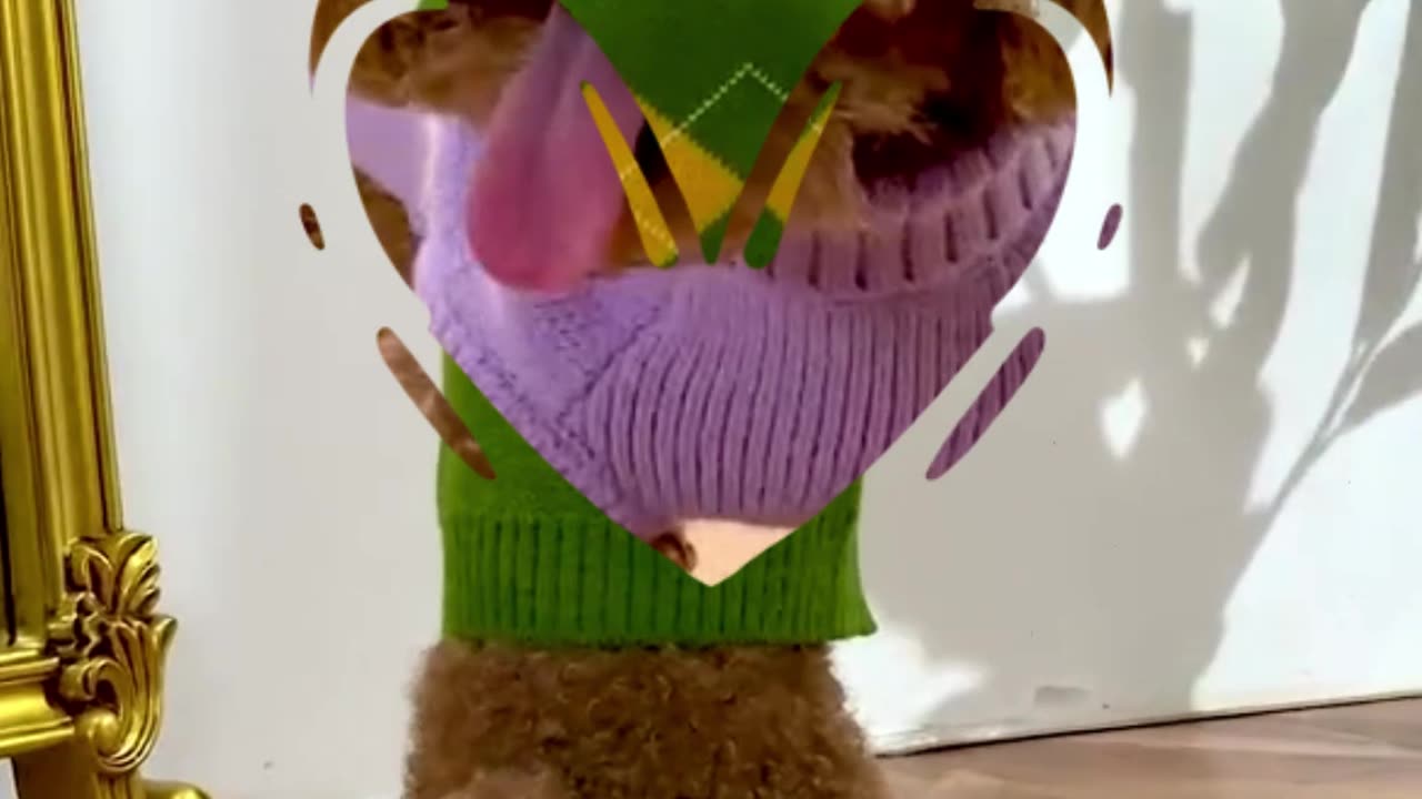 Dog Sweater Super Cute Puppy Turtleneck #viral #love #shorts