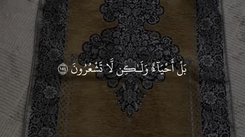 Quran / قرآن