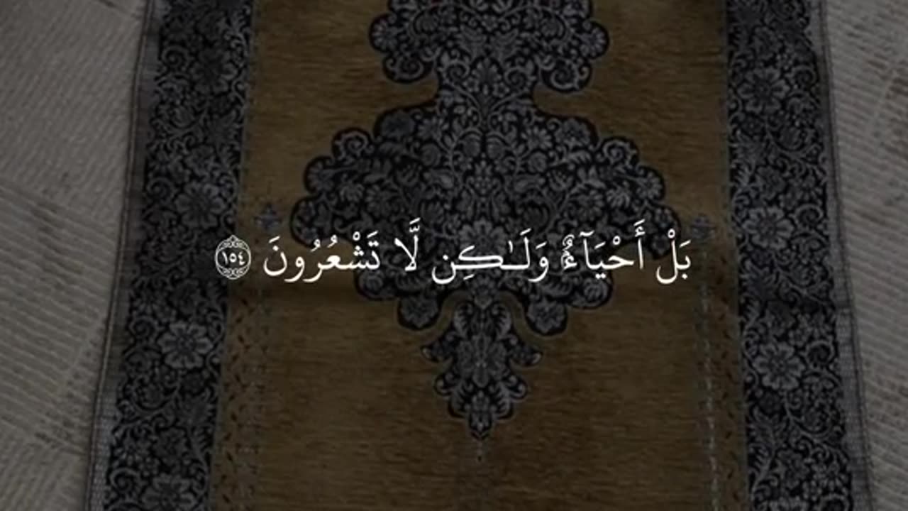 Quran / قرآن