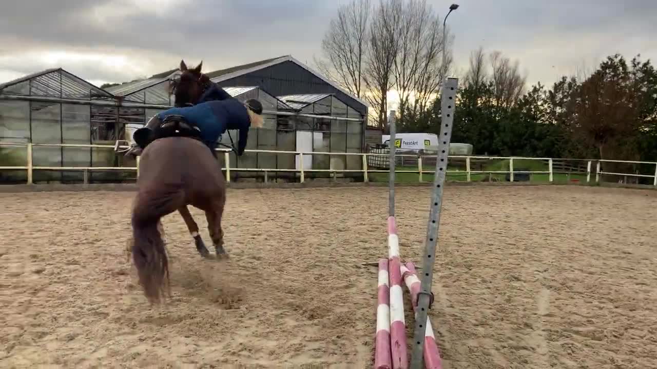 Horse Throws A Woman Off His Back When He Gets Scared Before A Jump