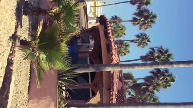 Baja California, Mexico.