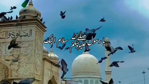 Islamic status 🖤