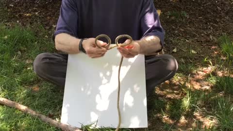 Basic Bush Knots