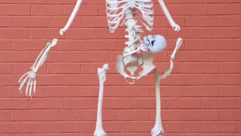 funny skeleton