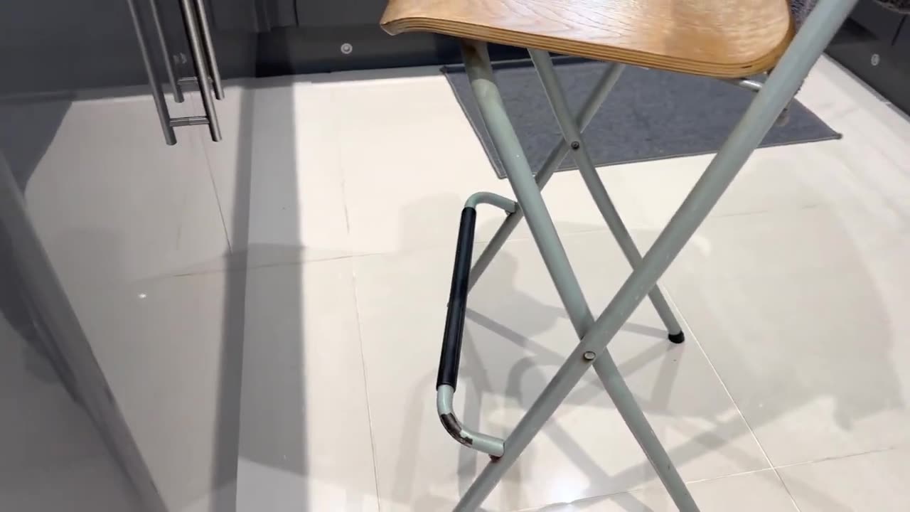 First video of my cat