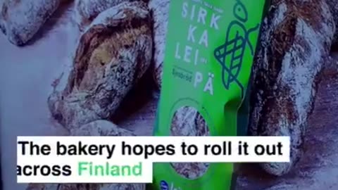 ❌Finland In Finlandia hanno iniziato a cuocere il pane con gli insetti⚠️ ☝️