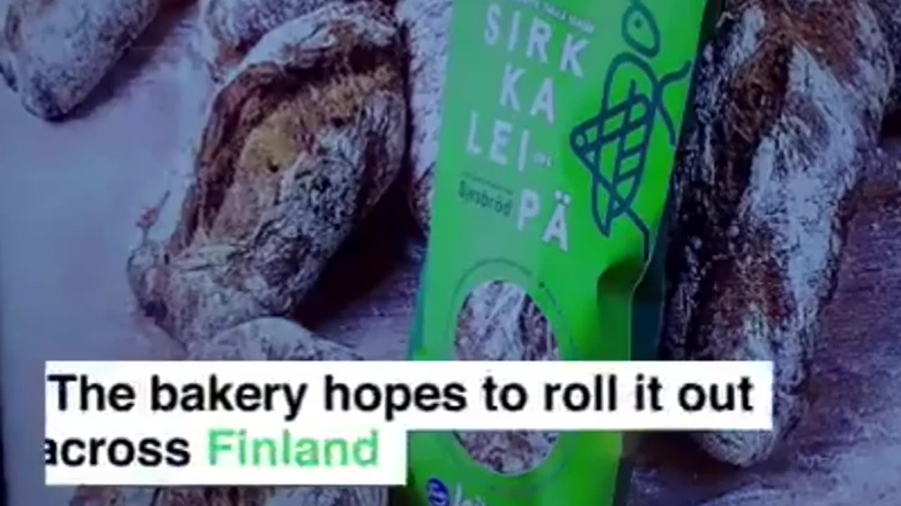 ❌Finland In Finlandia hanno iniziato a cuocere il pane con gli insetti⚠️ ☝️