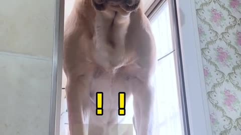 Going to the toilet was extremely noisy.