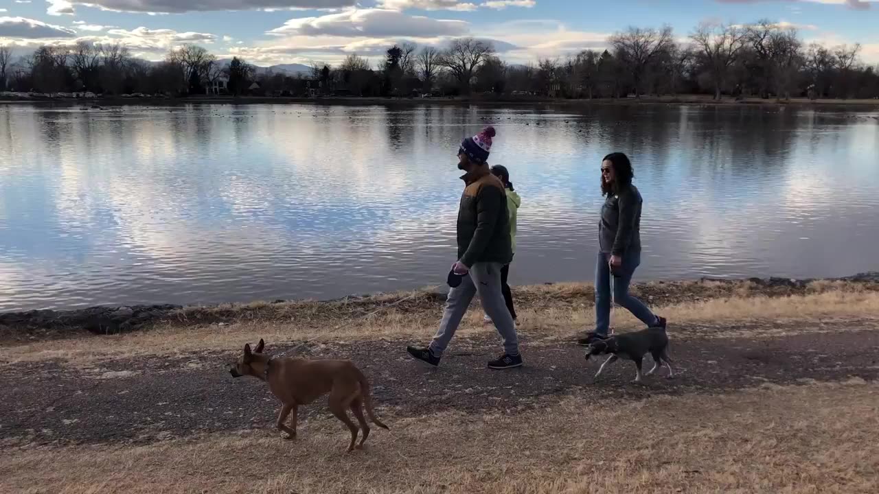 January 26, 2020 - A Sunday Afternoon at Denver's Washington Park