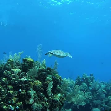 BEAUTIFUL OCEAN 😍